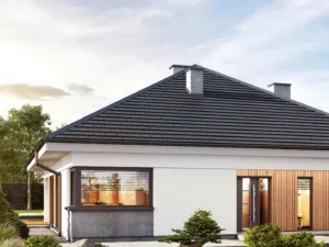 Dom szkieletowy Dom w Renklodach 10, budynek parterowy, 116 m2 - wizualizacja elewacji frontowej