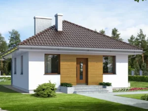Dom szkieletowy Imbir, budynek parterowy, 50 m2 - wizualizacja elewacji frontowej