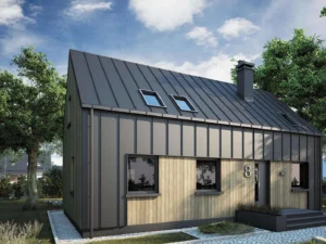 Dom szkieletowy Alaska 3, budynek z poddaszem, 70 m2 - wizualizacja elewacji frontowej