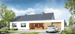Dom szkieletowy Dom w Pióropusznikach, budynek parterowy, 108 m2 - wizualizacja elewacji frontowej